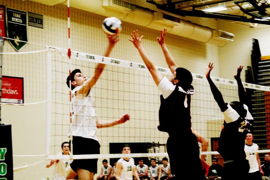 York Dukes Volleyball dominates Morton Mustangs on Tuesday, April 28