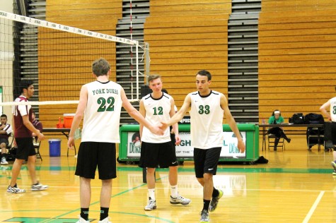 Volleyball-teamwork