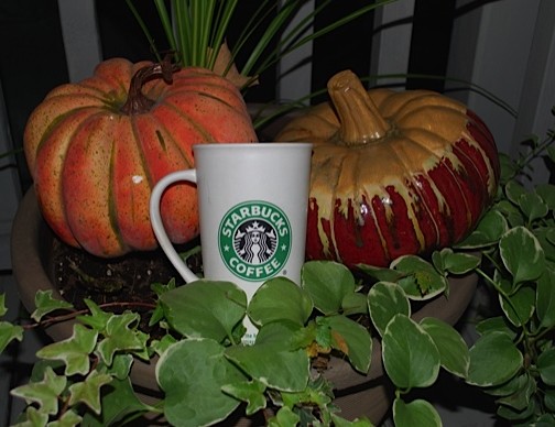 Random Starbucks mug with fake pumpkins.