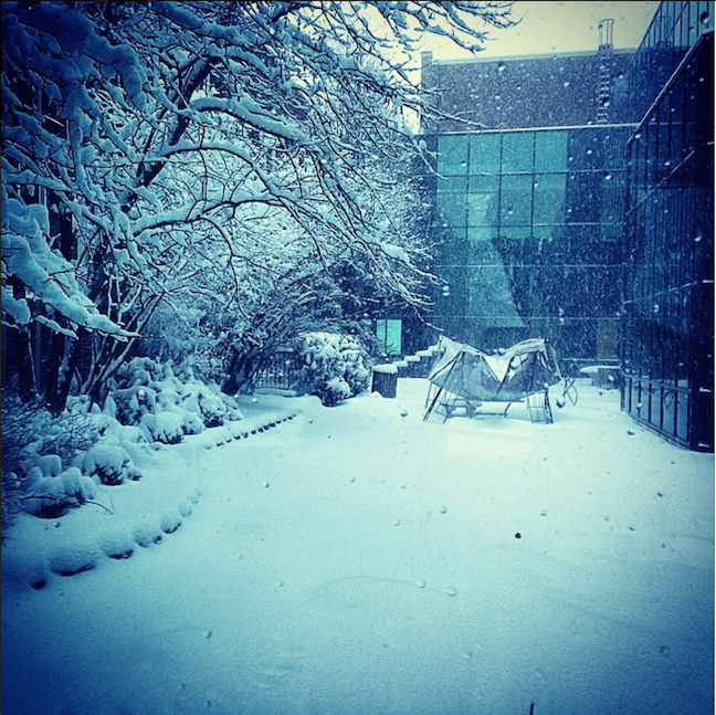 Snow has overtaken the York Senior Courtyard.