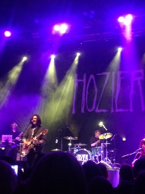 Hozier at the Riv