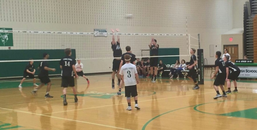 York Boys Volleyball decisively beat Hinsdale Central on April 28, 25-20 and 25-21, bringing their record 14-4. This is shaping up to be a solid season for the Dukes.