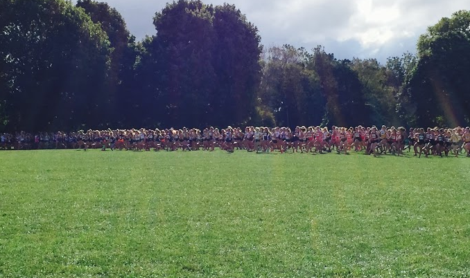 The Varsity race at the Richard Spring Invitational in Peoria begins. 