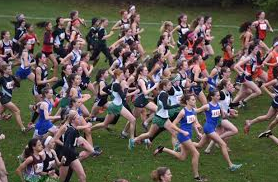 The York Girls Cross Country Varsity team fights their way to the front of the pack.
