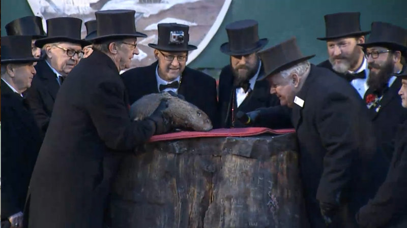 A group of men stand around Punxsutawney Phil and watch for any signs of his shadow Image Courtesy of NPR.com