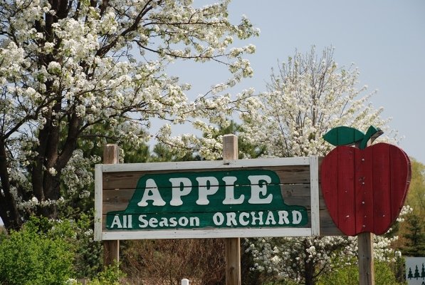 Currently, the best apples to pick here are Honeycrisp. Photo courtesy of yelp.com.