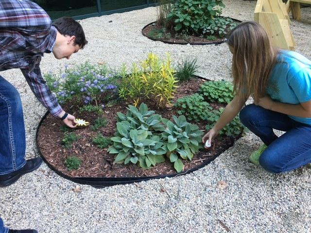 Club presidents Abby Gundrum and Dominic Gatti work in plants in the courtyard garden