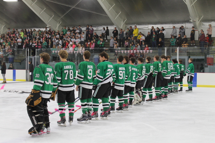 The team lines up on the blue line before the national anthem sporting pink tape and laces.