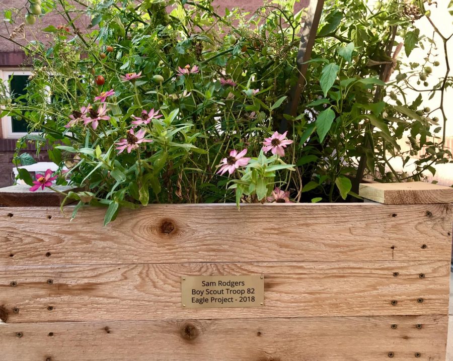 A raised wooden gardening box is home to numerous different species of flowers and plants.