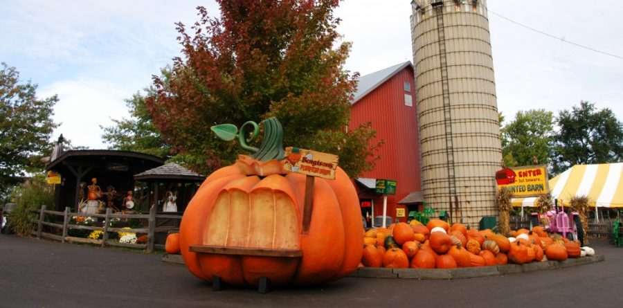 Bengtsons Pumpkin Farm and Fall Fest offers many fall activities along with tons of pumpkins to pick from. 