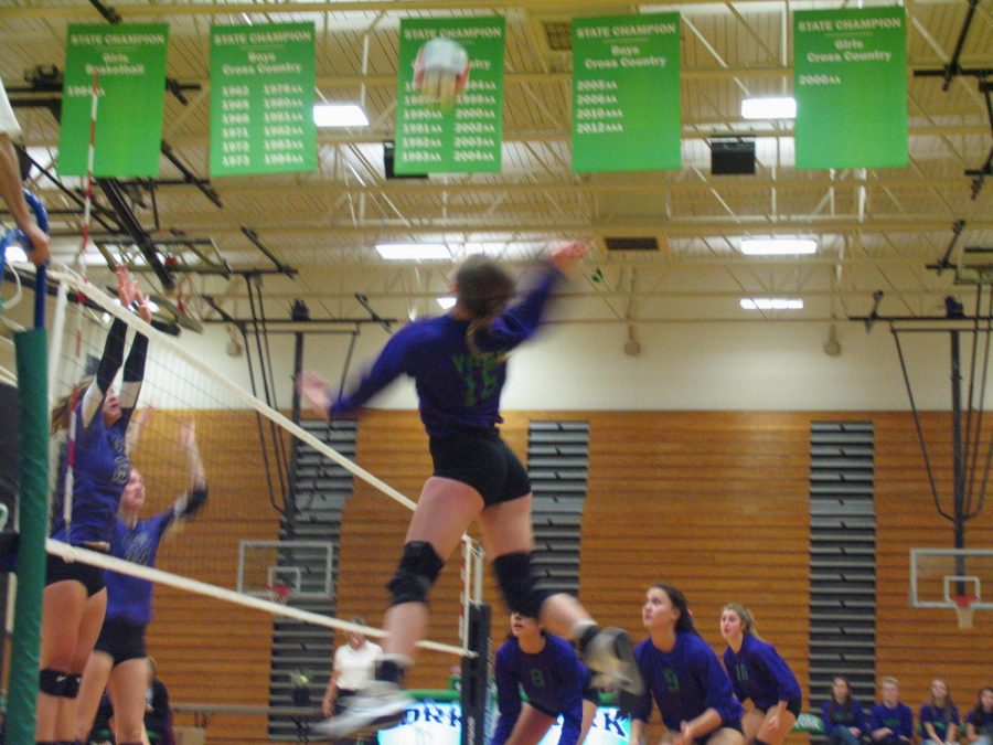Sophomore Georgiana Barr jumps up to spike the ball and score a point.