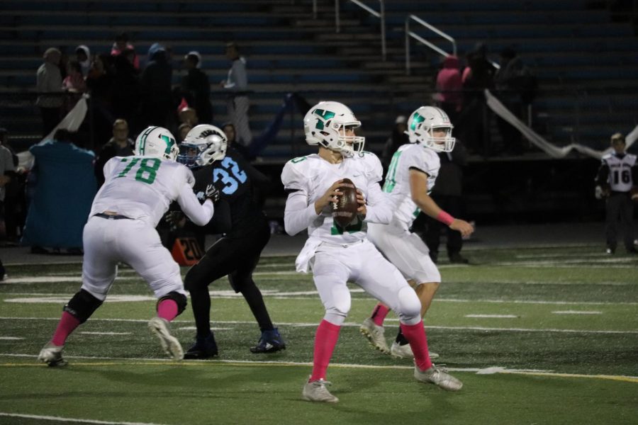 Junior quarterback Max Assaad (10) drops back in the pocket and looks down field for one of his receivers. 