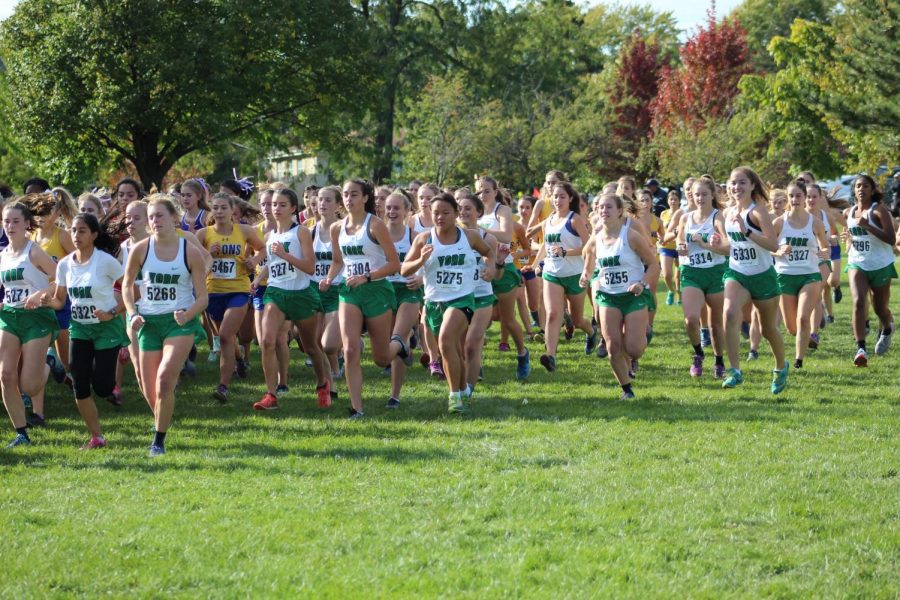 The guns goes off and the JV runners begin their three-mile race. Oct. 19, 2019.