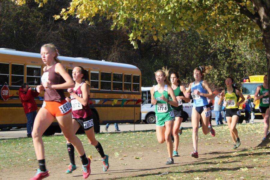 Sophomore Katheleen Buhrfiend races past the crowd at Detweiller Park. November 9, 2019.