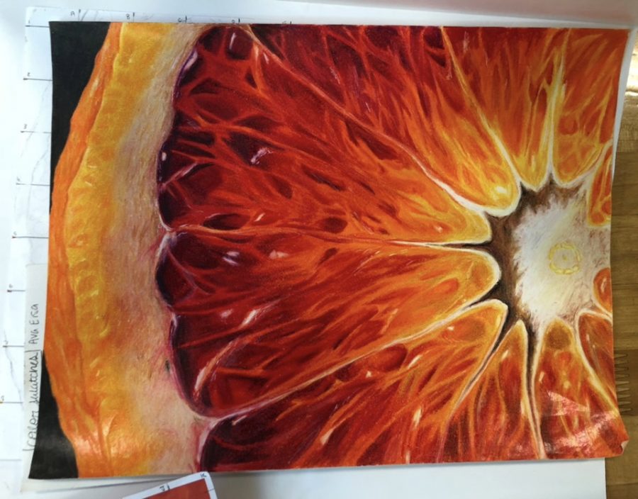 As part of one of her freshman year art classes, Ava Eisa drew a close up picture of an orange that was displayed in the commons during an art show.