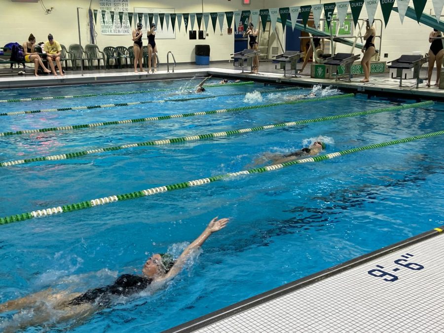 Senior Hannah Lonergan and sophomore Maddy Locke (closest lane to the wall) backstroke their way back to the diving block to finish their 100 meter backstroke race. 
